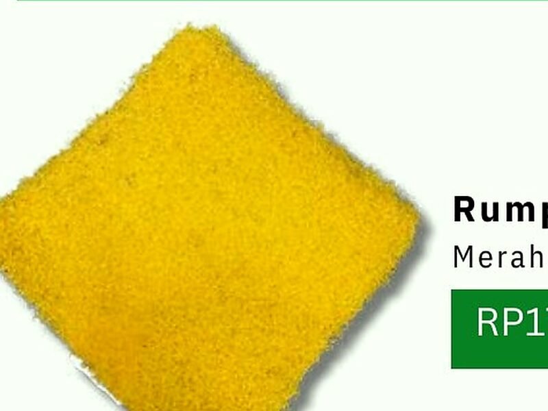 Rumput Golf Warna — Golf & Putting Green
