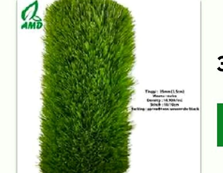 Swiss Standard 35 mm — Rumput Landscape