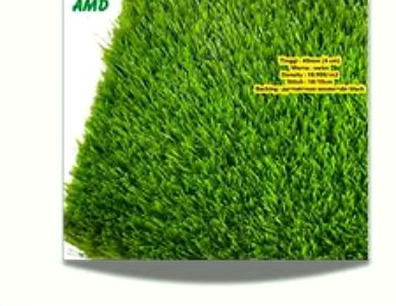 Swiss Standard 40 mm — Rumput Landscape