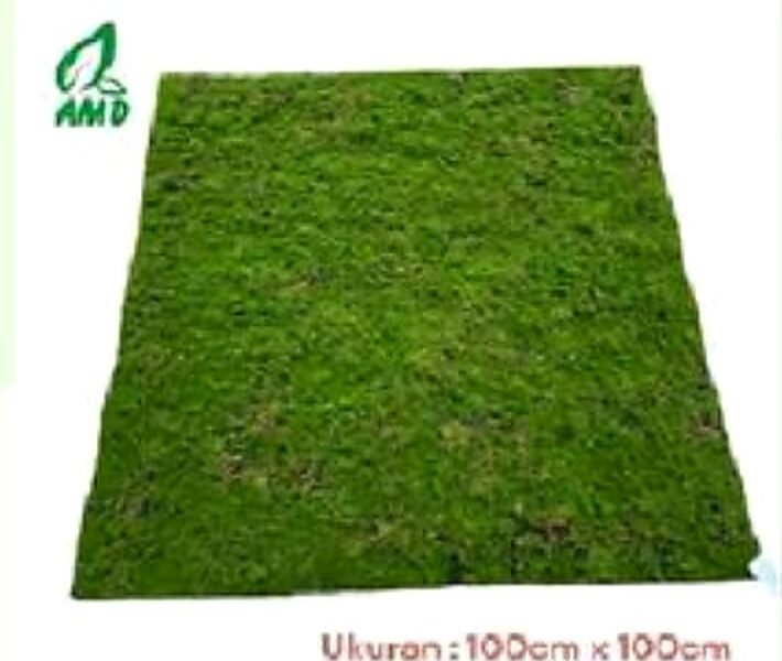 MPA 063 — Moss & Lumut Sintetis