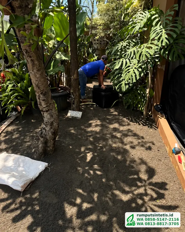 Alas putting green diratakan dan dipadatkan sebelum rumput dipasang