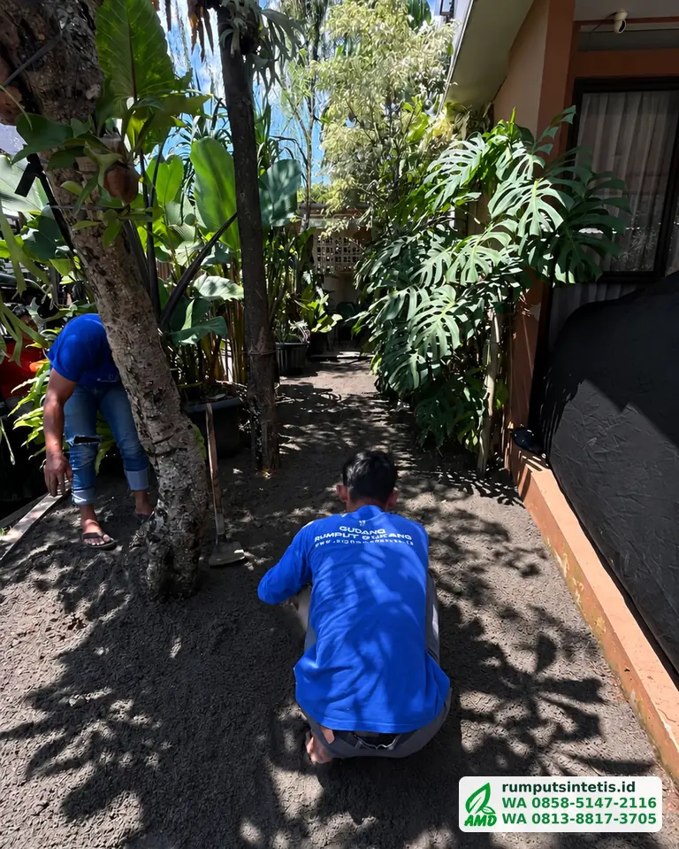Alas tanah diratakan di taman samping sebelum rumput dipasang