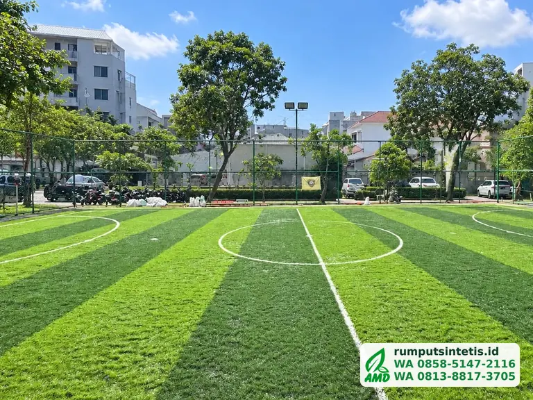 Lapangan futsal rumput sintetis dua warna