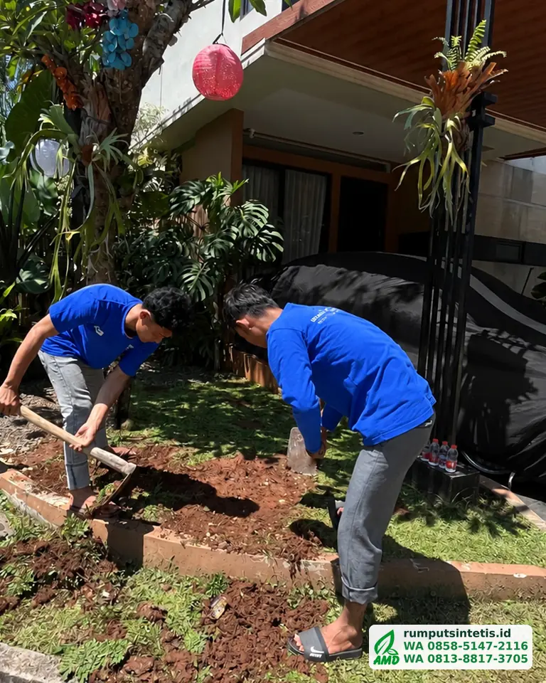 Membongkar rumput dan tanah lama di halaman sebelum rumput sintetis dipasang