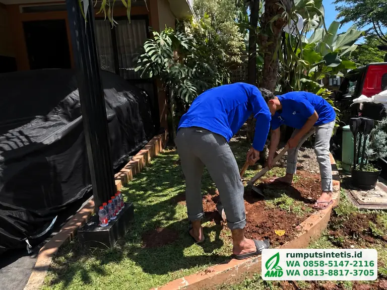 Membongkar rumput dan tanah lama sebelum pasang rumput sintetis