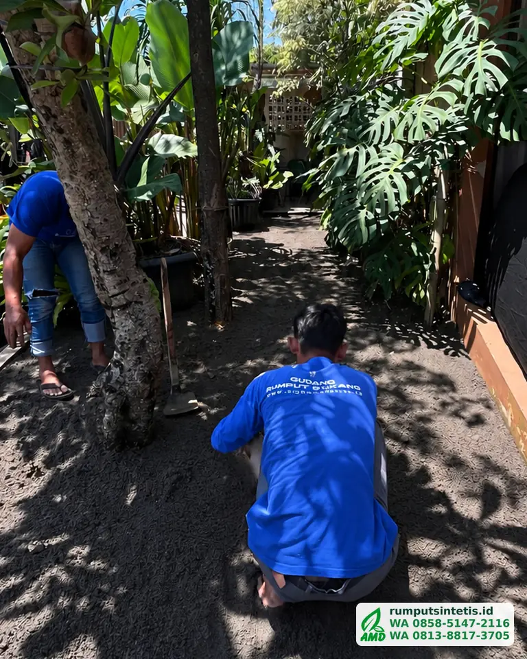 Meratakan dan memadatkan alas tanah sebelum rumput sintetis dipasang