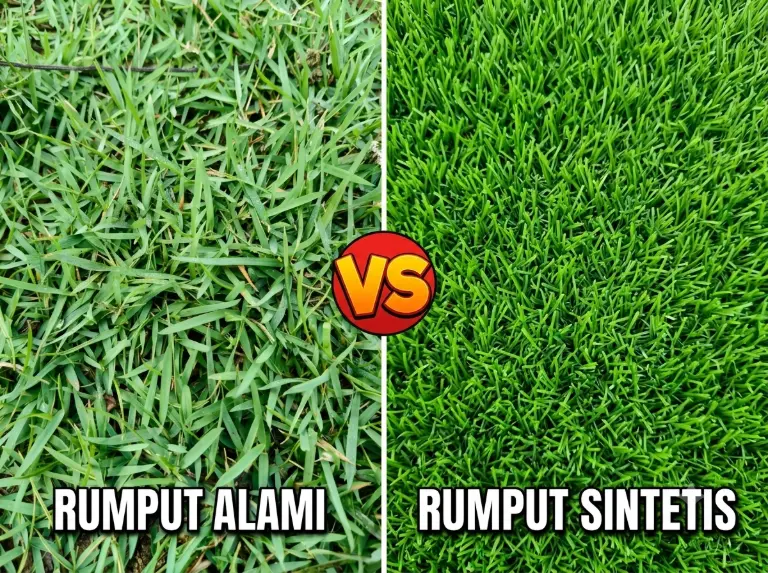 Rumput Sintetis vs Rumput Alami: Mana yang Lebih Baik untuk Taman?