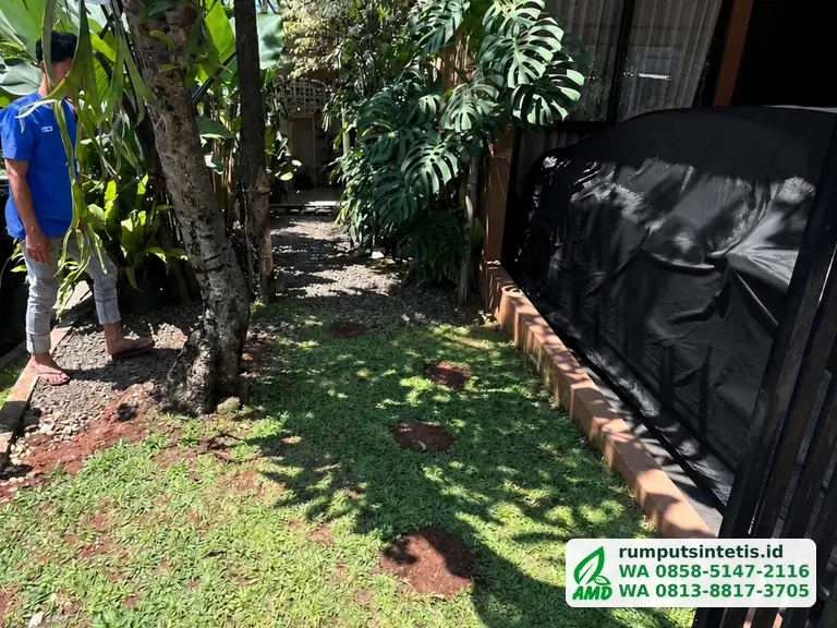Taman dengan rumput lama menipis sebelum diganti rumput sintetis