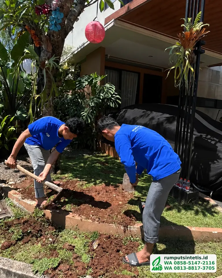 Tim membongkar tanah lama sebelum pasang rumput sintetis