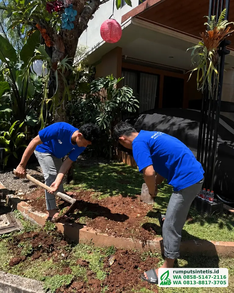 Tim membongkar tanah taman sebelum rumput sintetis dipasang